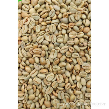 Judías verdes Hali Bourbon